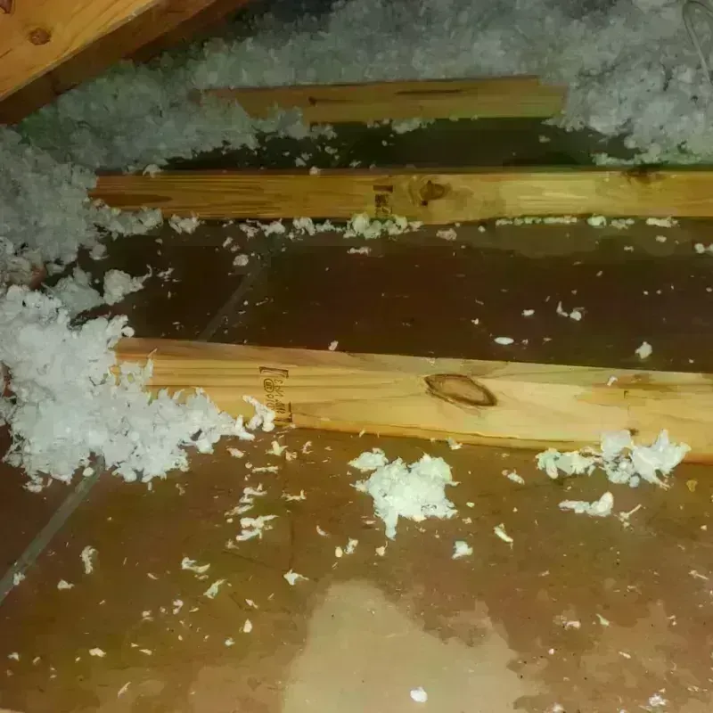 Attic Water Damage in Yakutat City and Borough, AK