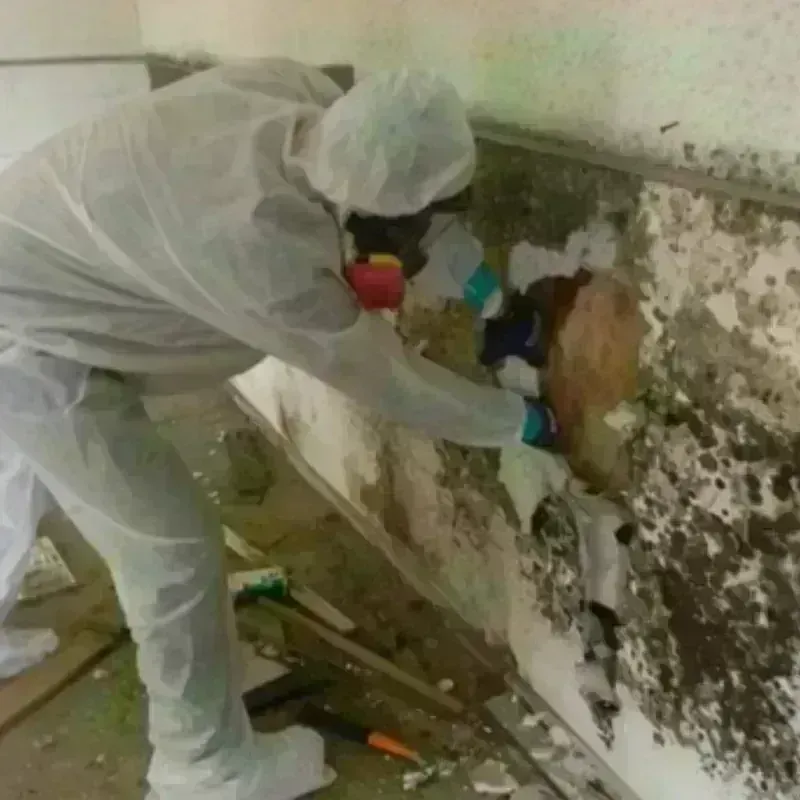 Mold Remediation and Removal in Yakutat City and Borough, AK