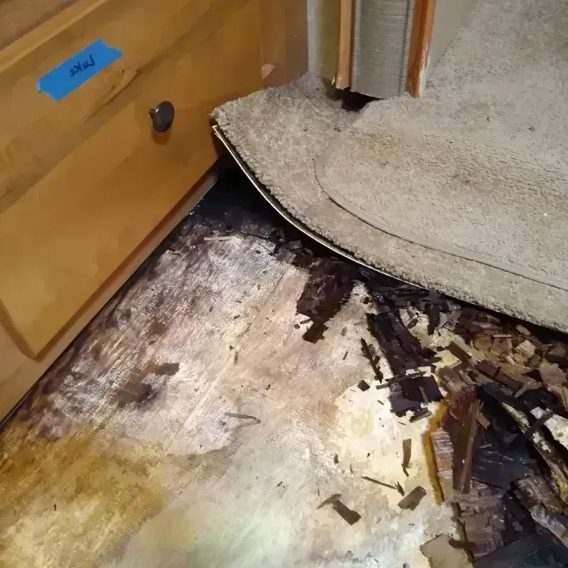 Wood Floor Water Damage in Yakutat City and Borough, AK